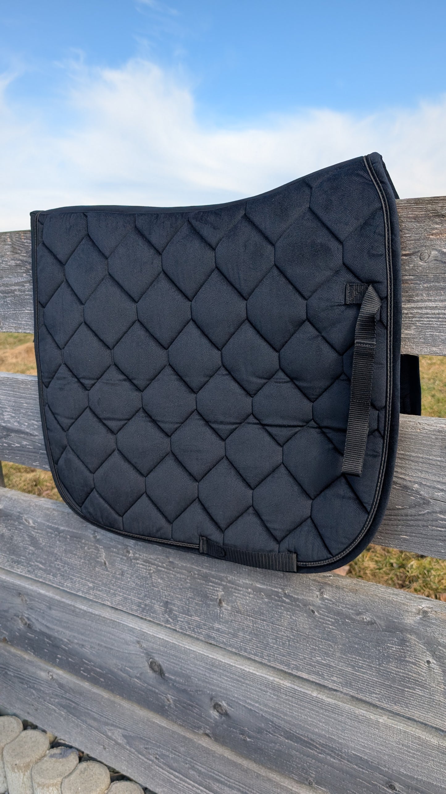 🤩 1. Schabracke Dressur zum Besticken 🧵