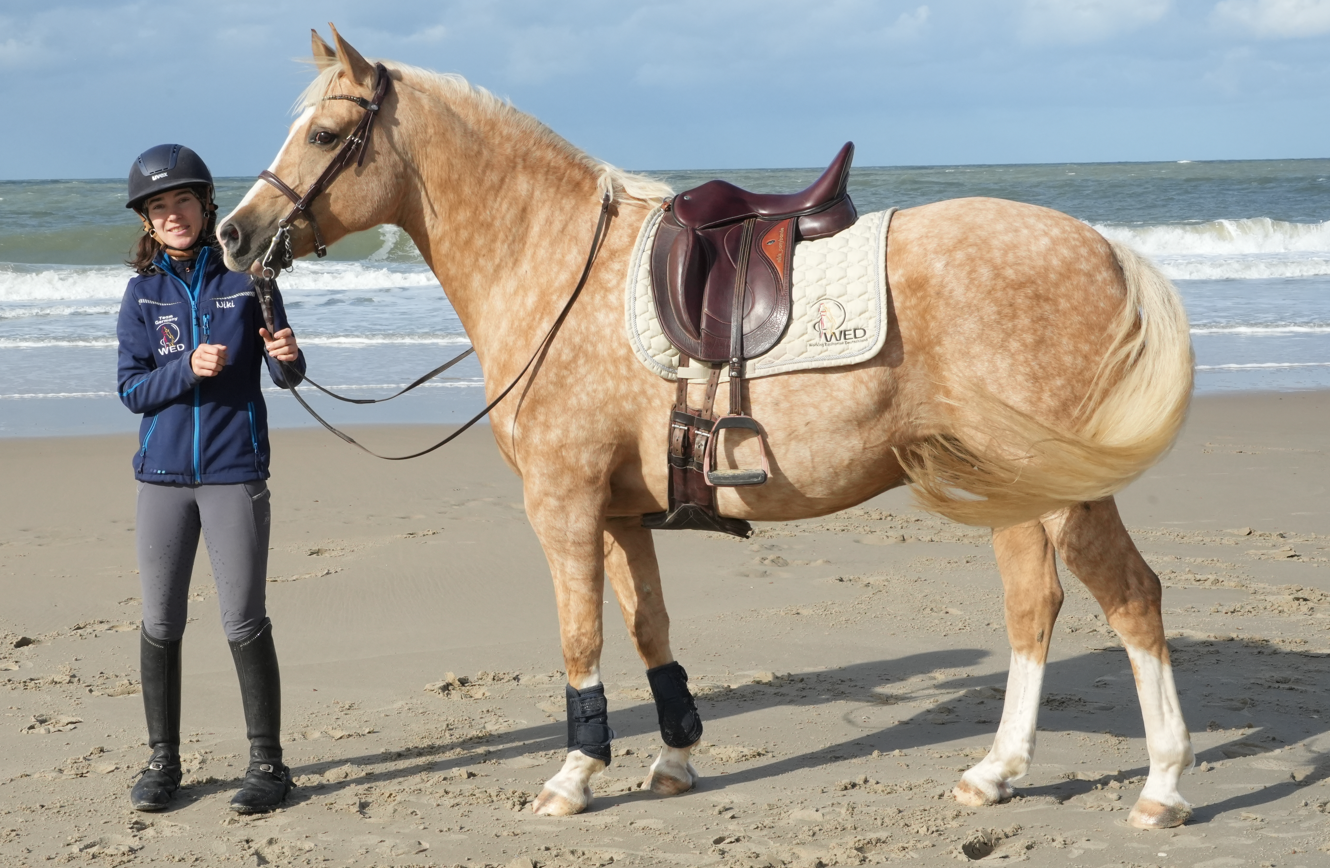👑Working Equitation🦄 Schabracke "WED - Working Equitation Deutschland", WB Dressur, neu
